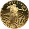 Image 1 : 2008-W American Gold Eagle