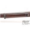 Image 17 : Antique rifle Enfield model Tower Rifle, .577 ( meas. .593 muzzle) Single shot Muzzle loading, w/ bb