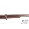 Image 9 : Antique rifle Enfield model Tower Rifle, .577 ( meas. .593 muzzle) Single shot Muzzle loading, w/ bb
