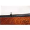 Image 14 : Non-Restricted rifle Winchester model 100, .284 Win semi automatic, w/ bbl length 19" [Blued barrel 