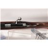 Image 20 : Non-Restricted rifle Winchester model 69A, 22 S, L & LR bolt action, w/ bbl length 25" [Blued finish