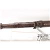 Image 20 : Non-Restricted rifle Winchester model 1906, 22 S, L & LR pump action, w/ bbl length 20" [Buy as proj