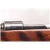 Image 12 : Non-Restricted rifle Mauser CE43 model K98, 8mm-06 bolt action, w/ bbl length 24" [Blued barrel and 