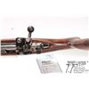Image 18 : Non-Restricted rifle Mauser CE43 model K98, 8mm-06 bolt action, w/ bbl length 24" [Blued barrel and 