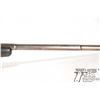 Image 7 : Non-Restricted rifle Mauser CE43 model K98, 8mm-06 bolt action, w/ bbl length 24" [Blued barrel and 