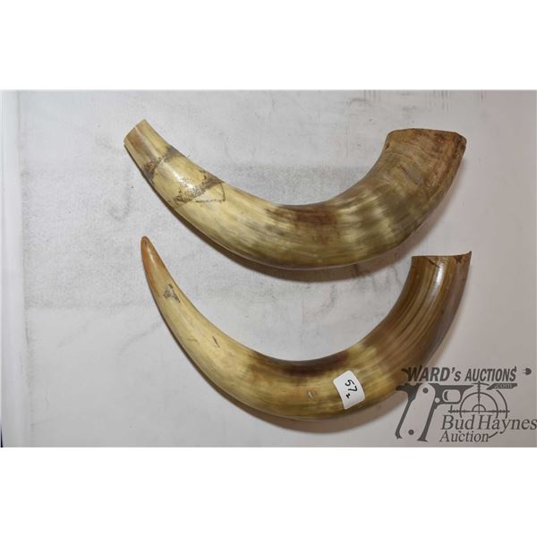 Two large horn cases