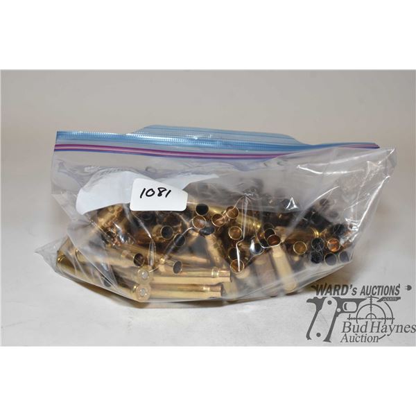 Bag w/ 99 primed .300 win mag brass