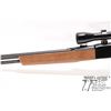 Image 10 : Non-Restricted rifle Winchester model 190, 22 L, LR semi automatic, w/ bbl length 20 1/2" [Blued bar