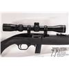 Image 2 : Non-Restricted rifle Mossberg model 702 Plinkster, .22 LR semi automatic, w/ bbl length 18" [Blued b