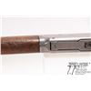 Image 19 : Non-Restricted rifle Winchester model 1894, .30 WCF lever action, w/ bbl length 20" [Blued barrel, r