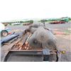Image 8 : Multiple Rolls Welded Wire Mesh Fencing w/ Misc Fence Posts