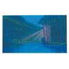 Image 8 : A Set of Production Used Scene Prints from "Pocahontas."