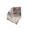 Image 1 : Nine 1965 Disneyland Trading Cards.