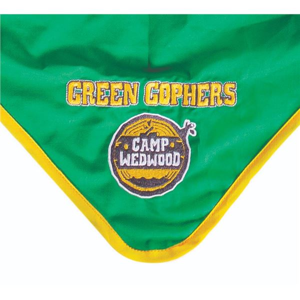 An Imagineering Camp Wedwood Kerchief.