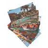 Image 1 : A Collection of Early WDW & Disneyland Postcards.