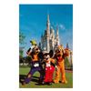 Image 1 : A Walt Disney World Souvenir Postcard.