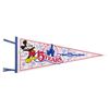 Image 1 : A Walt Disney World 15th Anniversary Pennant.