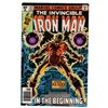 Image 1 : Iron Man