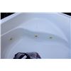 Image 8 : JET TUB WITH PUMP AND CONTROLS