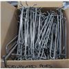Image 1 : LOT OF 6" PEG BOARD HOOKS