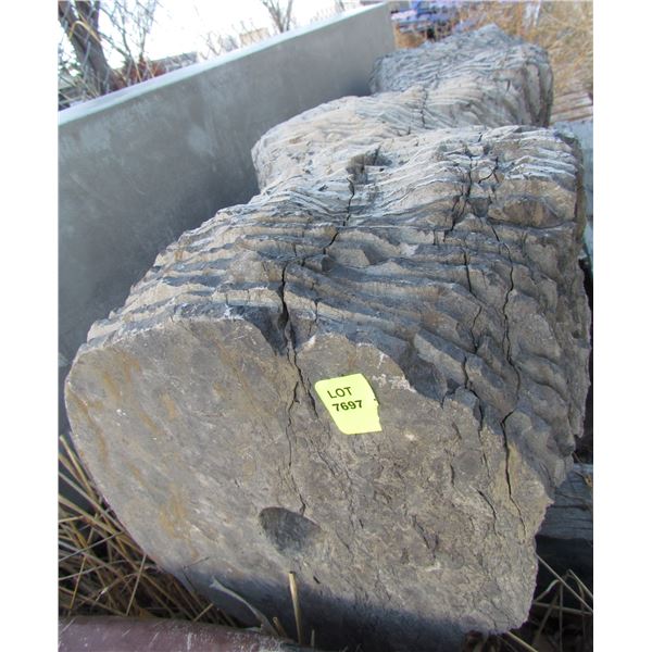 POND GURGER (CRACKED CONCRETE)