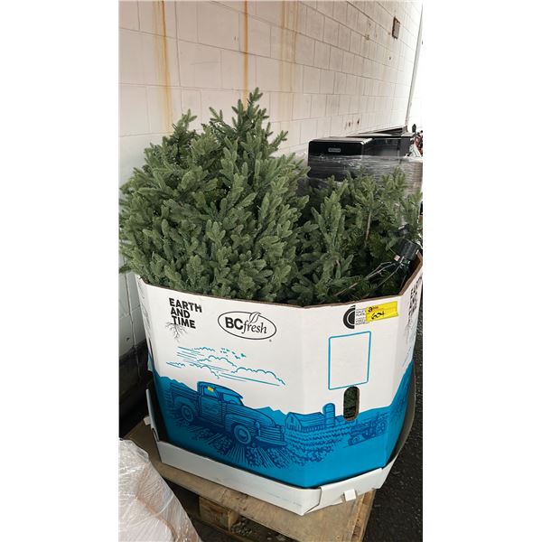 PALLET OF ASSORTED CHRISTMAS TREES - *MAY BE MISSING PARTS AND OR PIECES/MUST TAKE ALL ON PALLET*