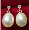 Image 1 : 10K FRESH WATER PEARL LAB DIAMOND (0.05CT) EARRINGS SUGGESTED RETAIL VALUE $400
