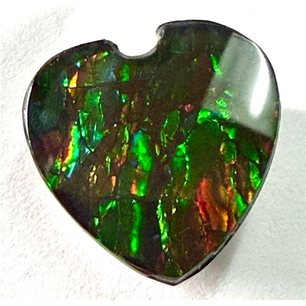 CANADIAN AMMOLITE (2.4CT) GEMSTONE SUGGESTED RETAIL VALUE $200