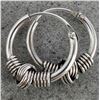 Image 1 : SILVER HOOP EARRINGS