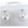 Image 1 : 14K WHITE GOLD PEARL AND DIAMOND  0.02CT EARRINGS SUGGESTED RETAIL VALUE $240