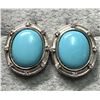 Image 1 : SILVER (3.85G) SLEEPING BEAUTY ARIZONA TURQUOISE EARRINGS SUGGESTED RETAIL VALUE  $240