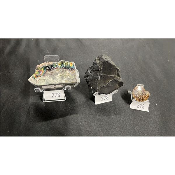 CALCITE WITH RAINBOW PYRITE SPECIMEN, SHUNGITE SPECIMEN & SMALL AMMONITE FOSSIL