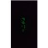 Image 2 : NEW GLOW IN THE DARK IVORY DRAGON DESIGN PENDANT