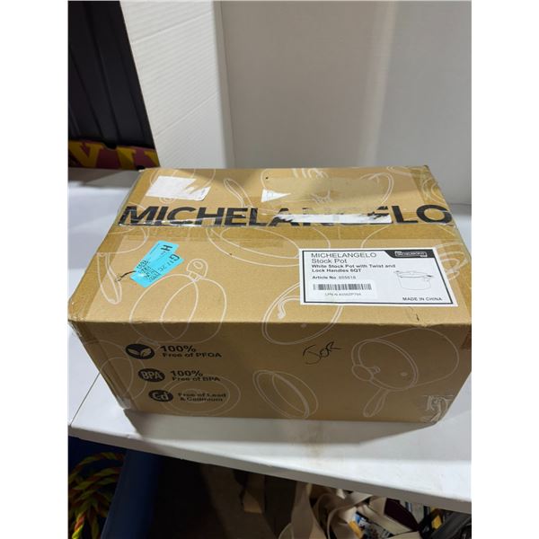 Michelangelo stock pot