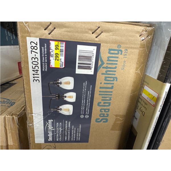 Sea Gull lighting 3 light chandelier