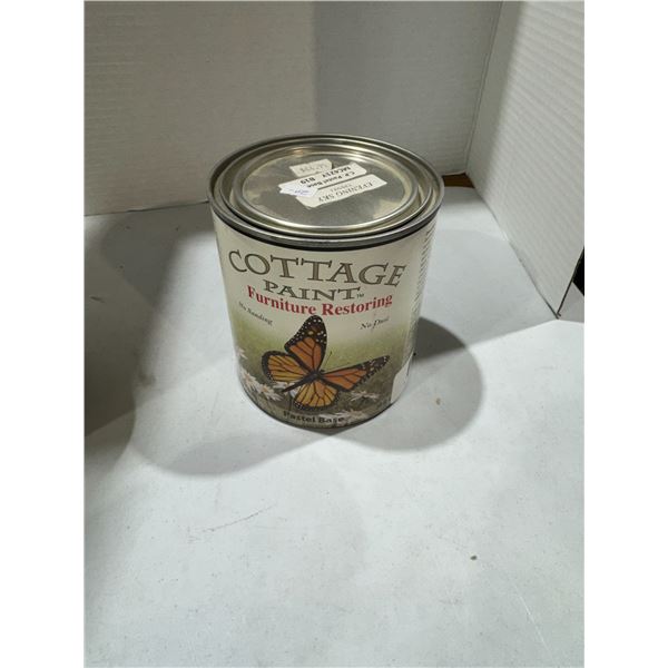 Cottage Paint evening sky