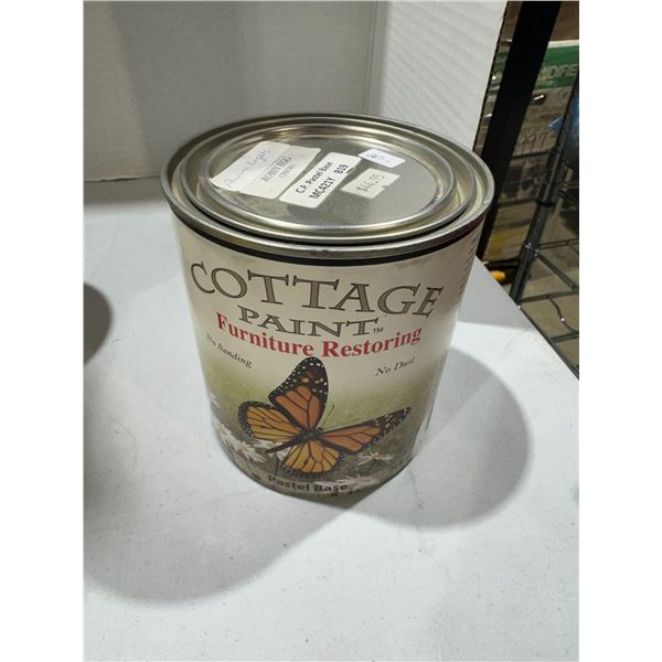 Cottage Paint Aurora lights