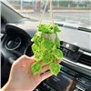 Image 1 : Hanging Car Plant