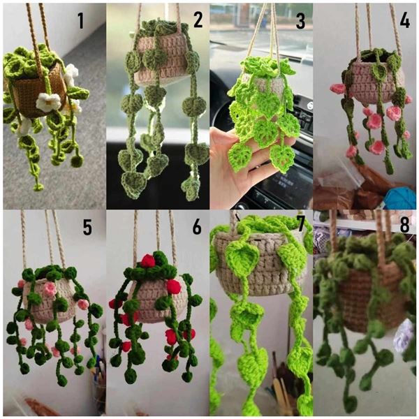 Hanging car plant- #8 ON PIC