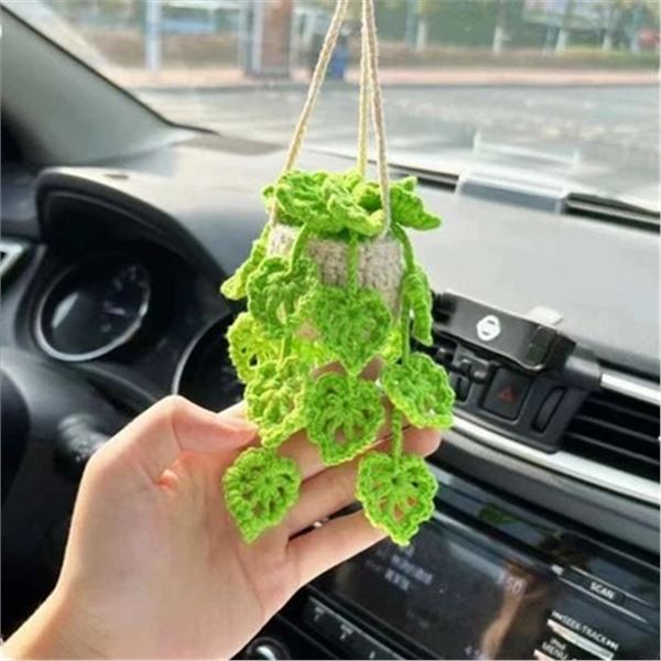 Hanging Car Plant
