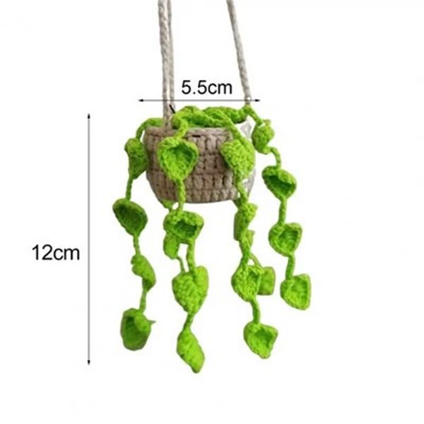 Hanging Car Plant