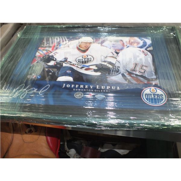 Joffrey Lupul Edmonton Oilers Hockey Picture
