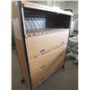 Image 2 : 2 Metal Storage Cabinets