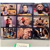 Image 3 : (18)Star Trek Next Generation Collectors Cards: Picard & Warf & MORE!