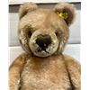 Image 2 : Vintage Rare Steiff 1960's Mohair Glass Eyes Orig Metal Ear Tag & Label 12' Teddy Bear with Reticula