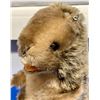 Image 3 : Vintage Very Rare Steiff 1950's Nagy Beaver 7" Airbrushed Mohair Orig. Ear Tag!