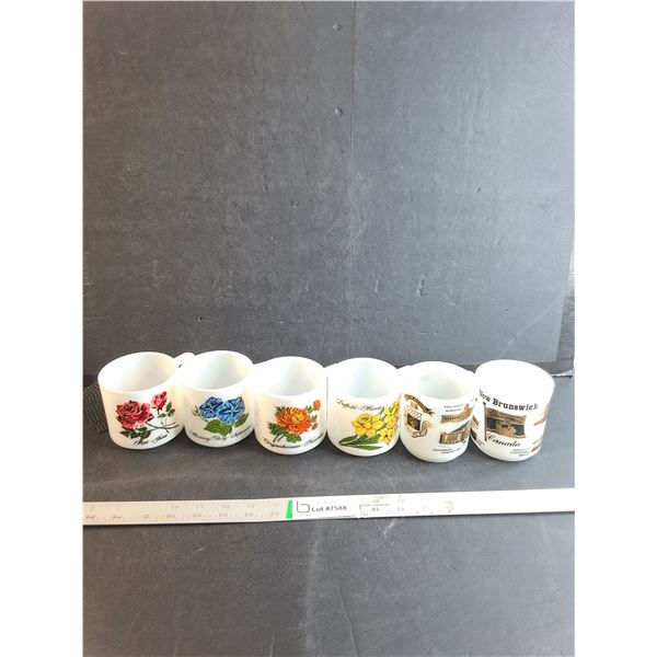 (6) Assorted Mugs