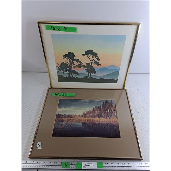 (2) Framed Wall Art Prints - Pickup Only