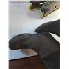 Image 5 : Oceaner Diving Suit/ Roller Blades (No Size On Either To Be Seen)