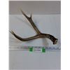 Image 1 : Deer Shed - 14" x 9"